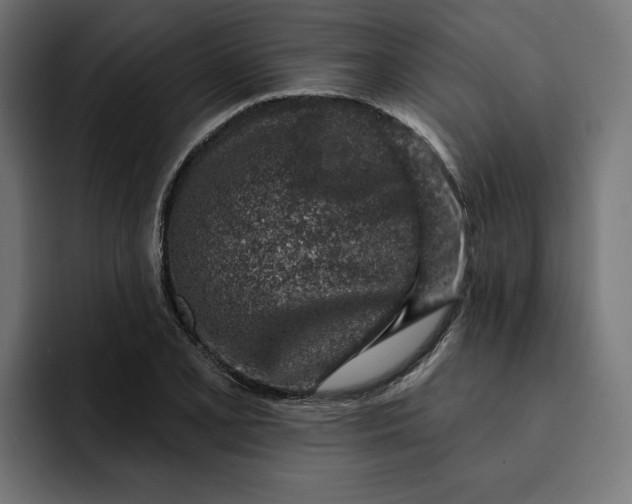 X0000092041077200710031020