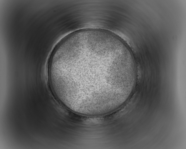 X0000092041078200710031020