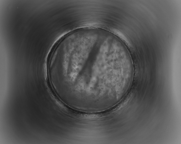 X0000092041079200710031020