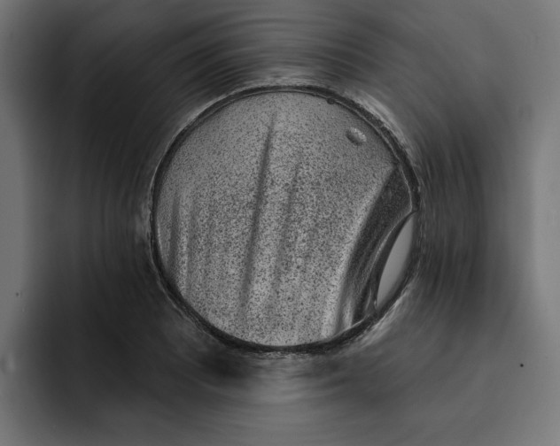 X0000092041081200710031020