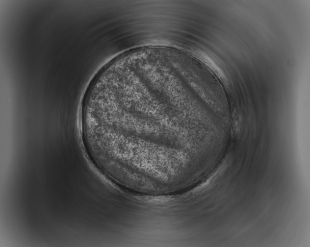 X0000092041084200710031020