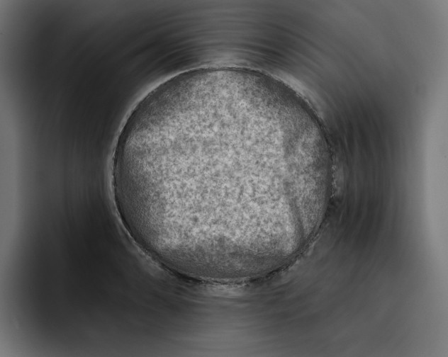 X0000092041086200710031020