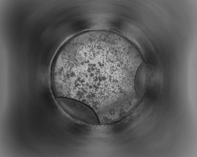 X0000092041087200710031020