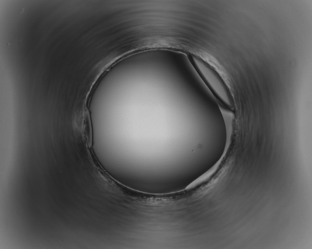 X0000092041089200710031020