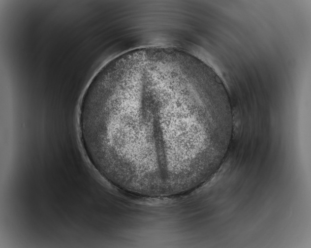 X0000092041091200710031020