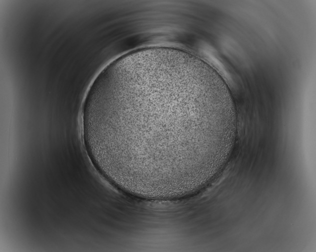 X0000092041092200710031020