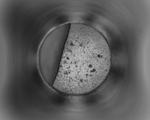 X0000092041095200710031020