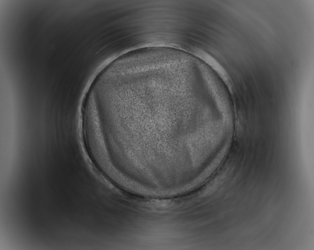 X0000092041096200710031020