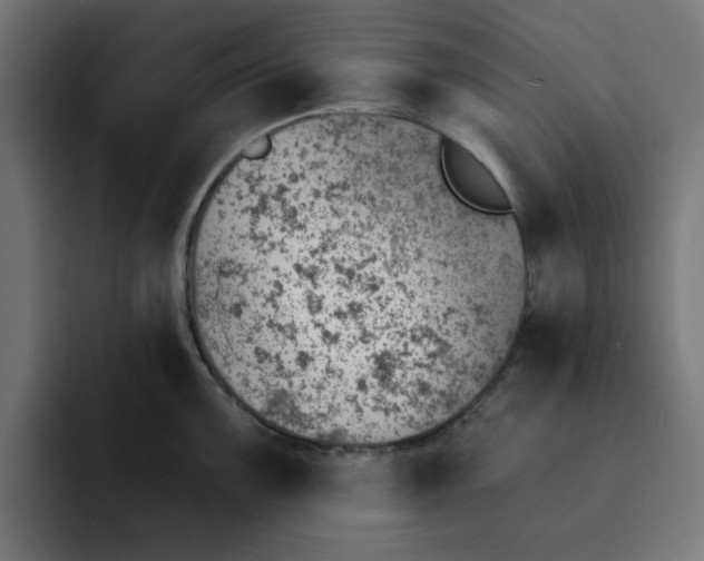 X0000092041099200710031020