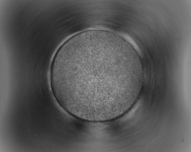 X0000092041100200710031020