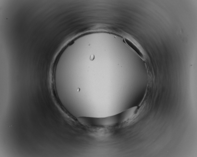 X0000092041101200710031020