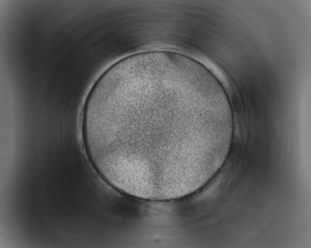 X0000092041102200710031020