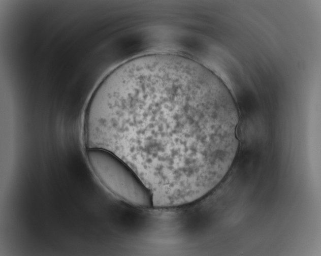 X0000092041103200710031020