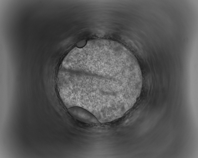 X0000092041105200710031019