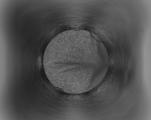 X0000092041106200710031019