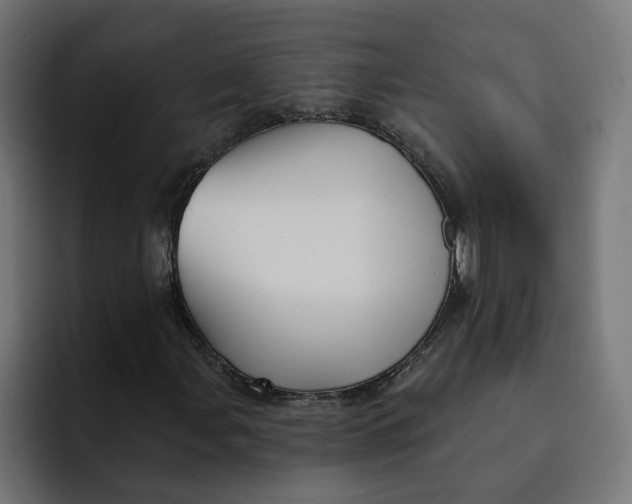 X0000092041107200710031019