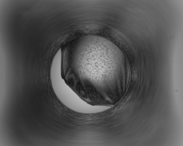 X0000092041108200710031019