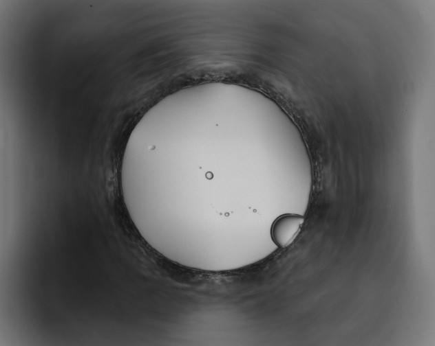 X0000092041109200710031019