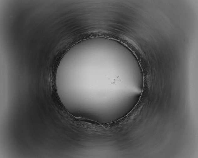 X0000092041111200710031019