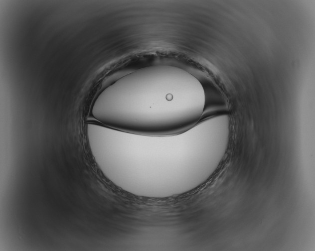 X0000092041112200710031019