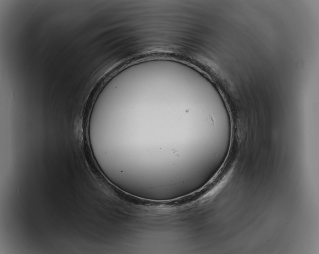 X0000092041113200710031019