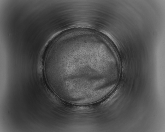 X0000092041115200710031019