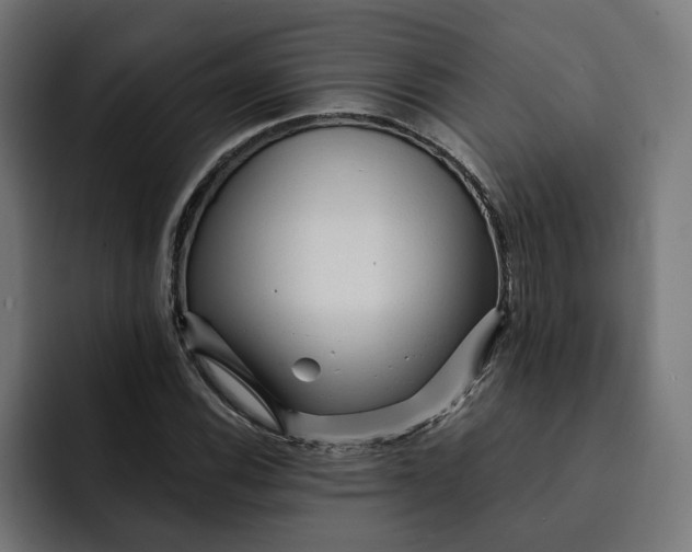 X0000092041116200710031020