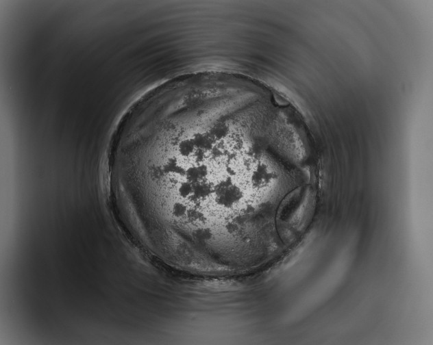 X0000092041117200710031020