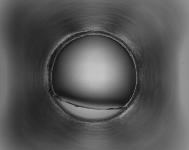 X0000092041118200710031020