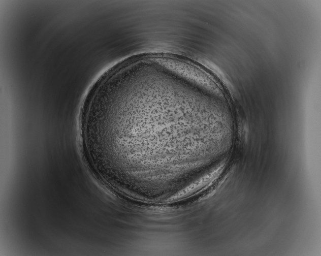 X0000092041120200710031020