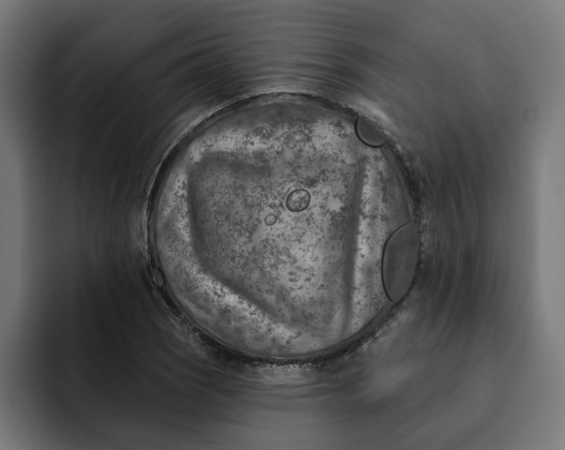 X0000092041121200710031020