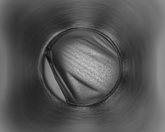 X0000092041123200710031020