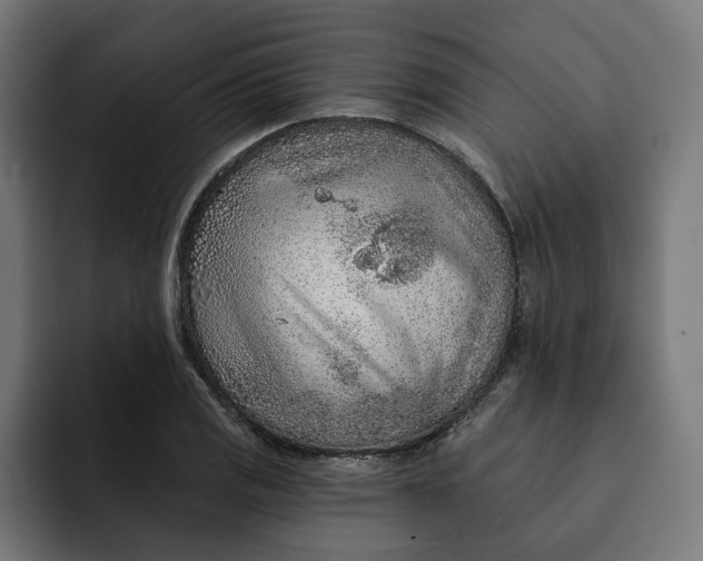 X0000092041125200710031020