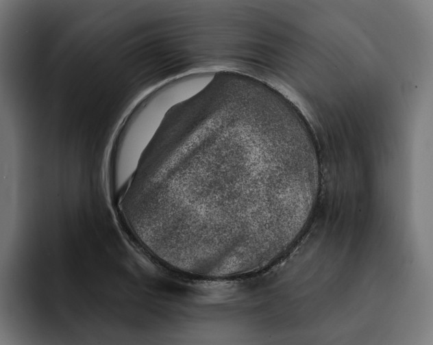 X0000092041127200710031020