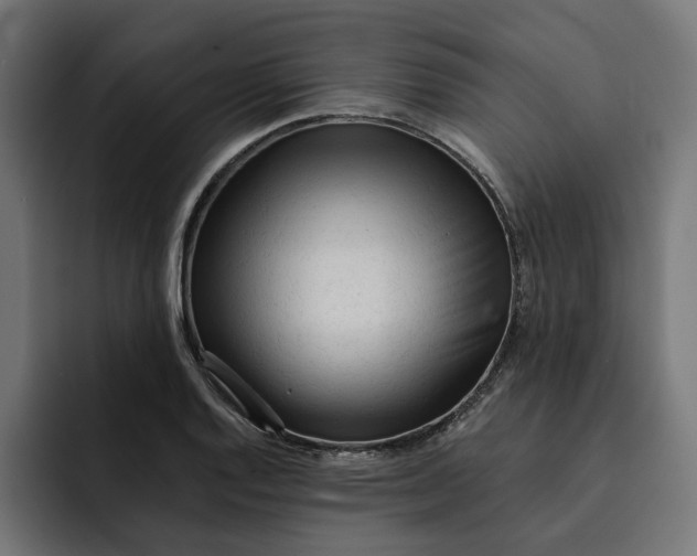 X0000092041128200710031020