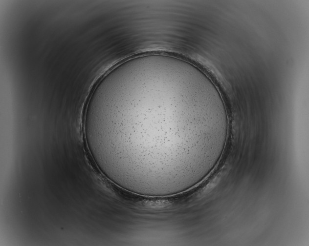 X0000092041129200710031020