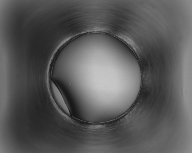 X0000092041135200710031020