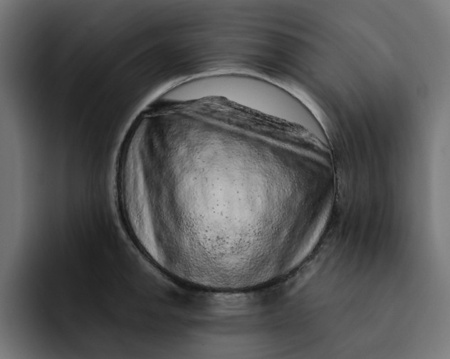 X0000092041142200710031020