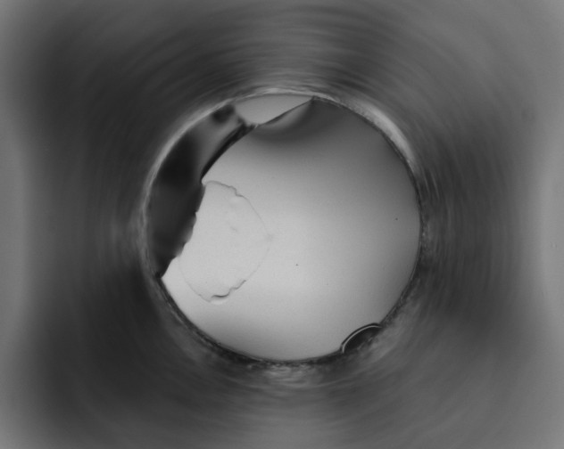 X0000092041146200710031020