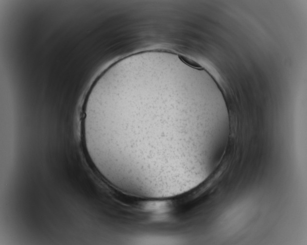 X0000092041151200710031020