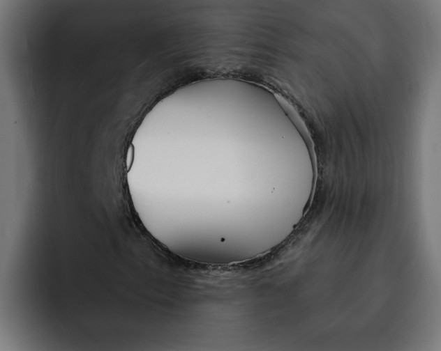 X0000092041153200710031019