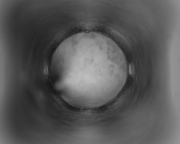 X0000092041155200710031019