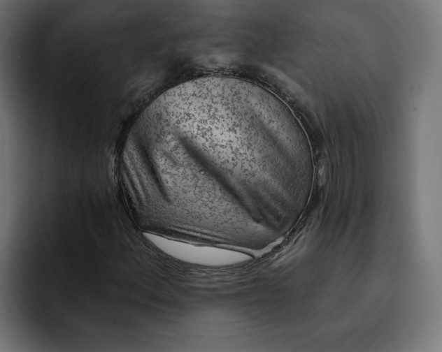 X0000092041156200710031019