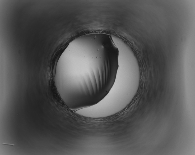 X0000092041157200710031019