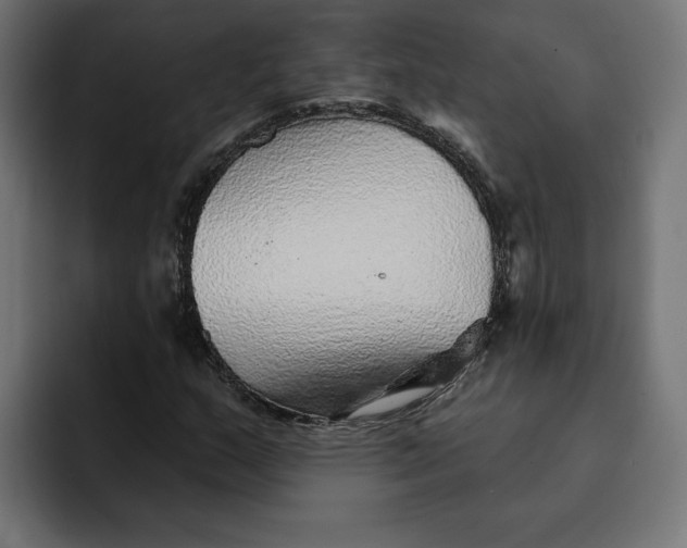 X0000092041159200710031019