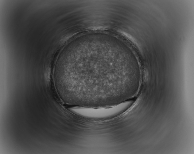 X0000092041161200710031019