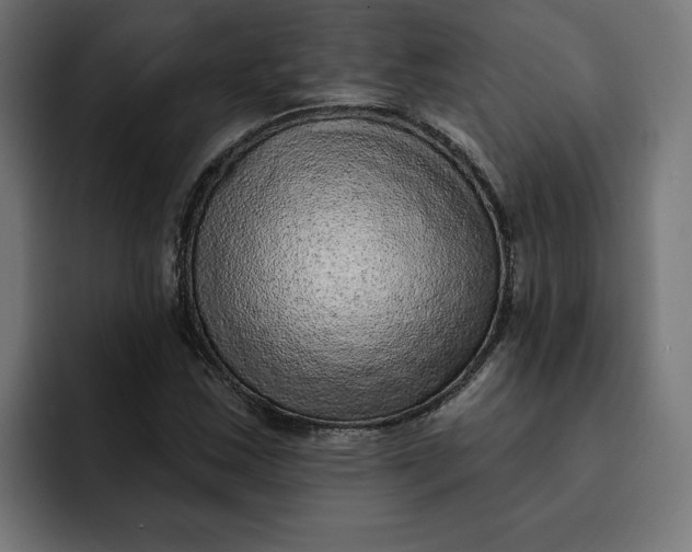 X0000092041163200710031019