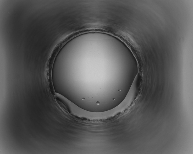 X0000092041164200710031019