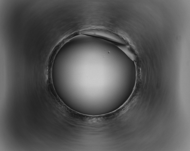 X0000092041165200710031019