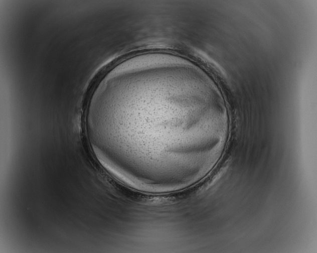 X0000092041166200710031019